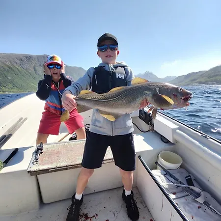 Arnoya Basecamp Skjervoy