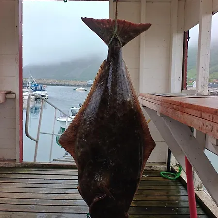 Сasa de vacaciones Arnoya Basecamp