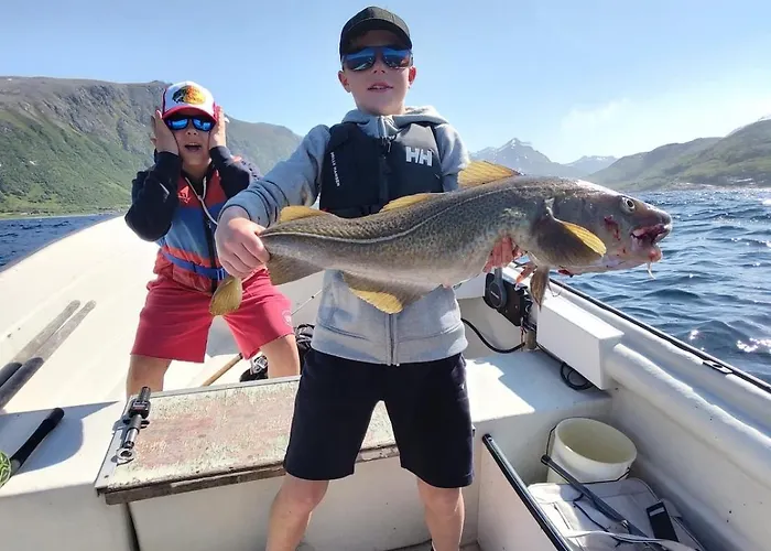 Arnoya Basecamp Skjervoy