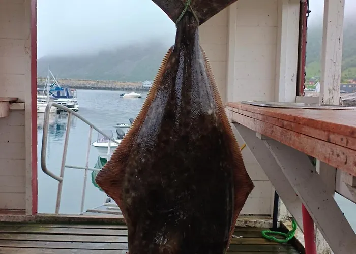 Dom wakacyjny Arnoya Basecamp